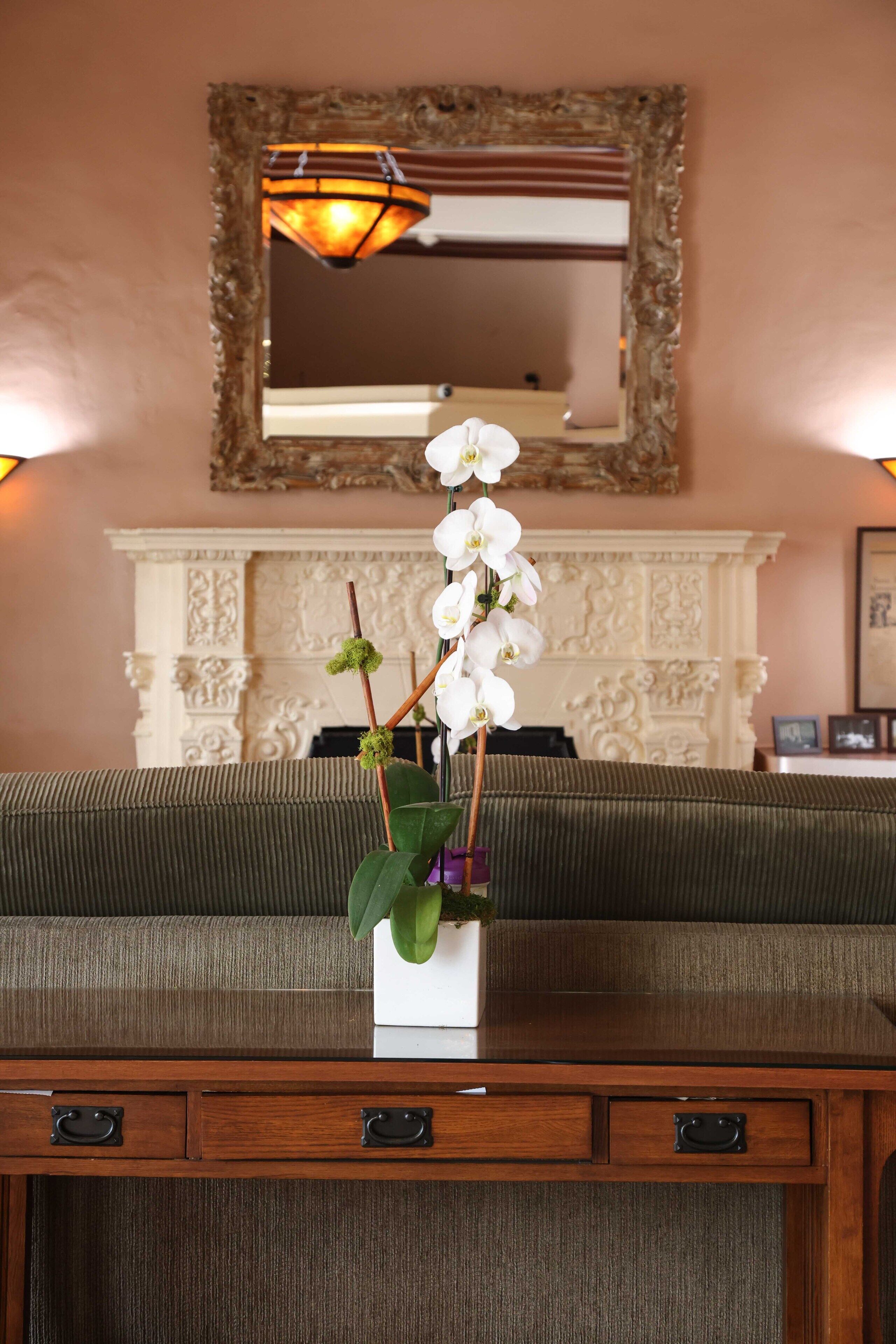 Foto - Hotel Carmel Santa Monica