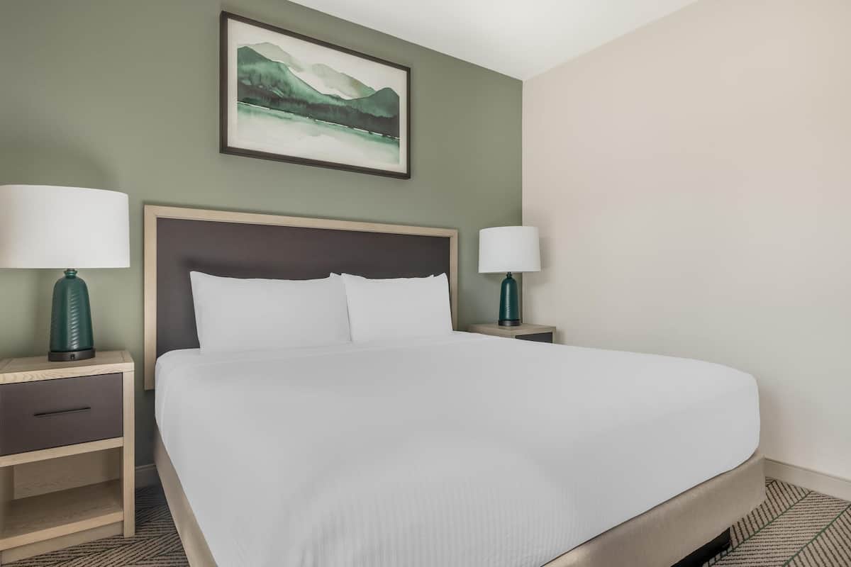 1 Bedroom 1 King Suite with Sofabed | In-room safe, iron/ironing board, free WiFi, bed sheets