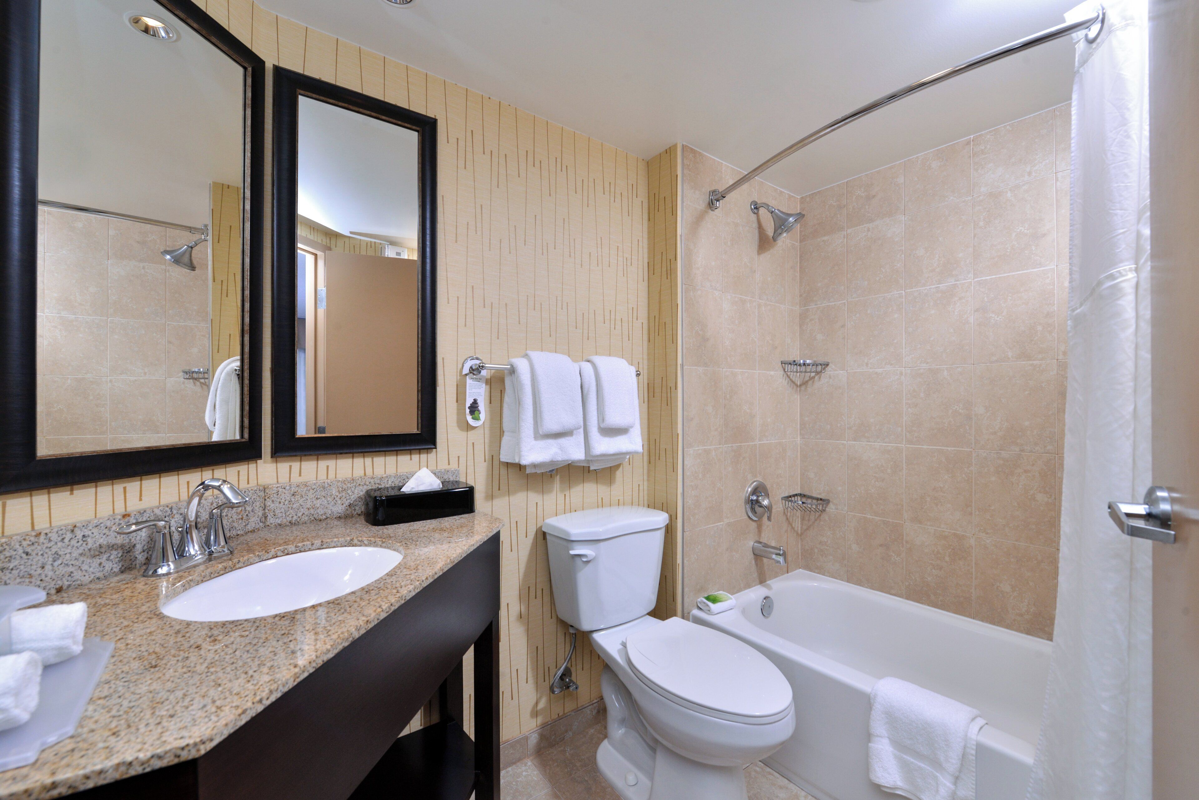 Une salle de bain avec un lavabo, des toilettes et une baignoire.