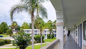 A hotel corridor with a covered balcony, palm trees, and a lawn. - Motel 6 Starke, FL (Starke)