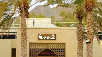 Un hotel con área de piscina, palmeras y un salón llamado 'hive lounge'.