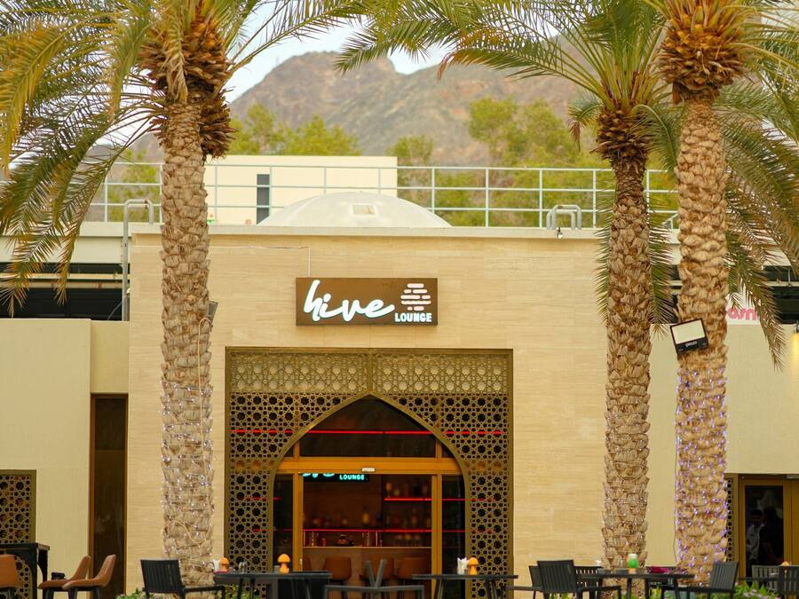 Un hotel con área de piscina, palmeras y un salón llamado 'hive lounge'.