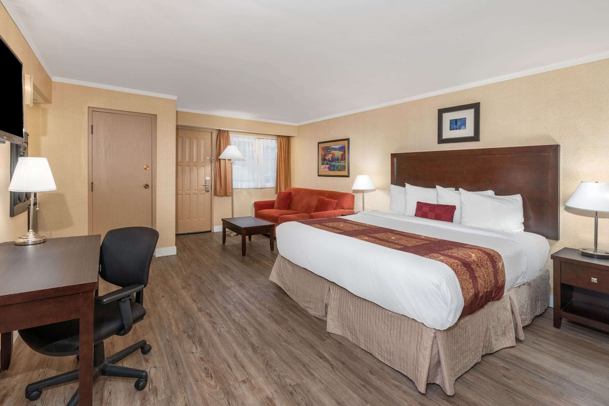 Suite, 1 King Bed, Non Smoking (with Sofabed) | Desk, blackout drapes, iron/ironing board, free cribs/infant beds