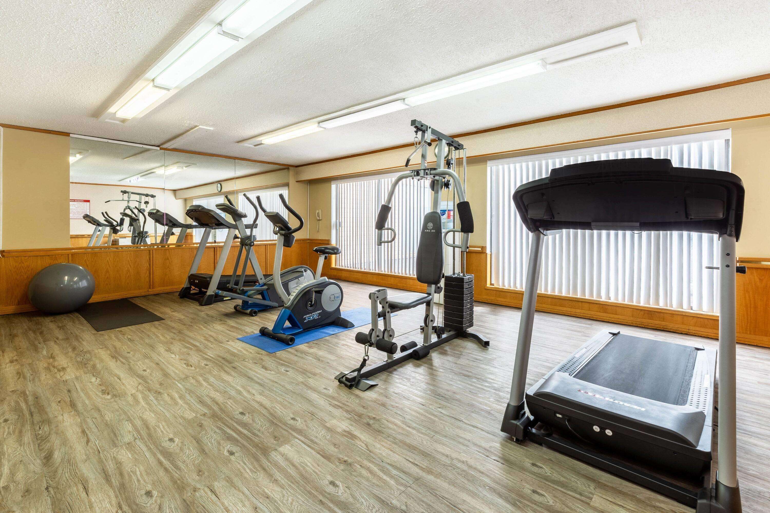Ett gym med löpband, crosstrainers och en styrketräningsmaskin.