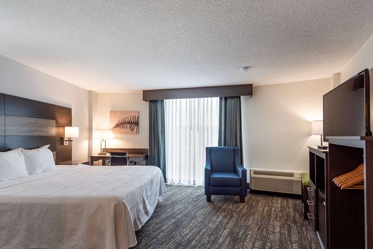 standard room, 1 king bed, accessible, refrigerator & microwave (walk-in shower) | desk, laptop workspace, blackout curtains, iron/ironing board