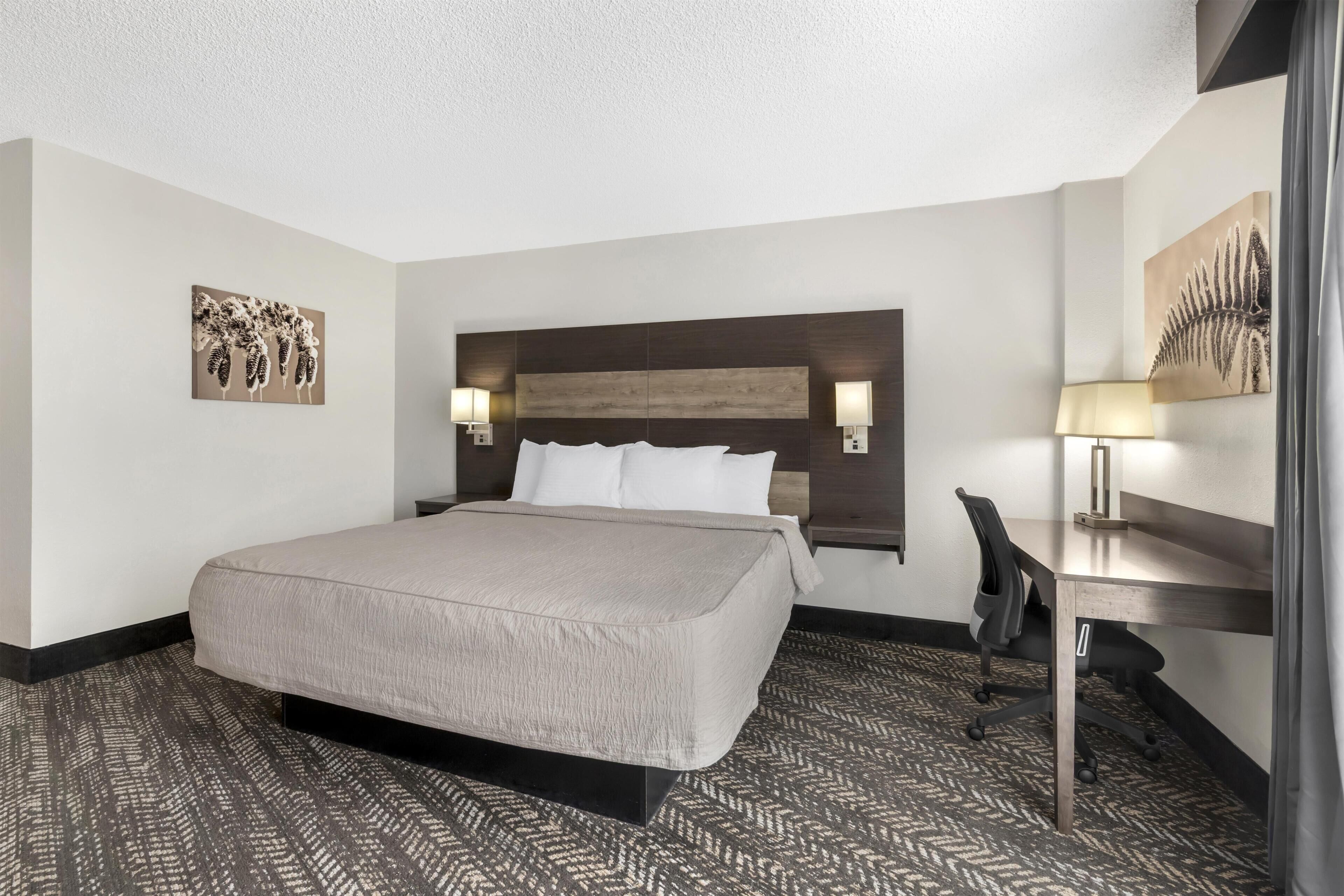 Standard Room, 1 King Bed, Accessible, Refrigerator & Microwave (Walk-in Shower)