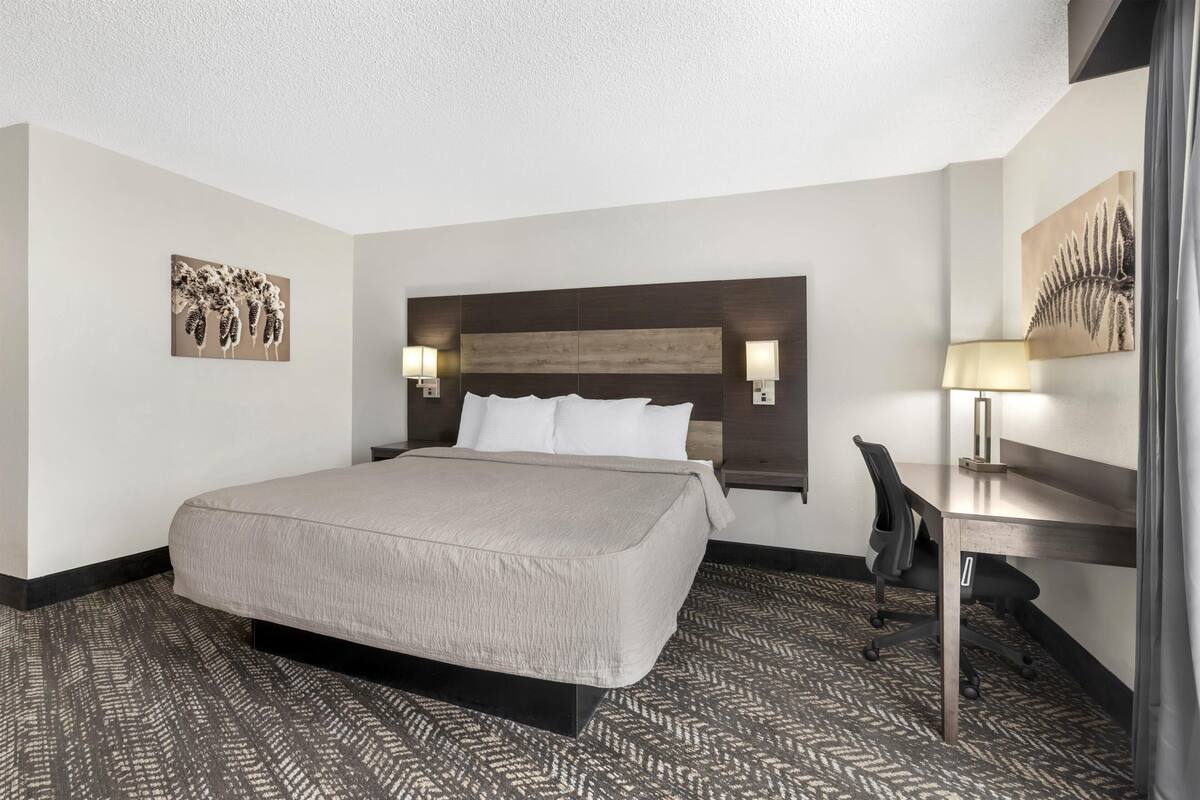 Ein Hotelzimmer mit Bett, Schreibtisch, Stuhl und Bildern an den Wänden.