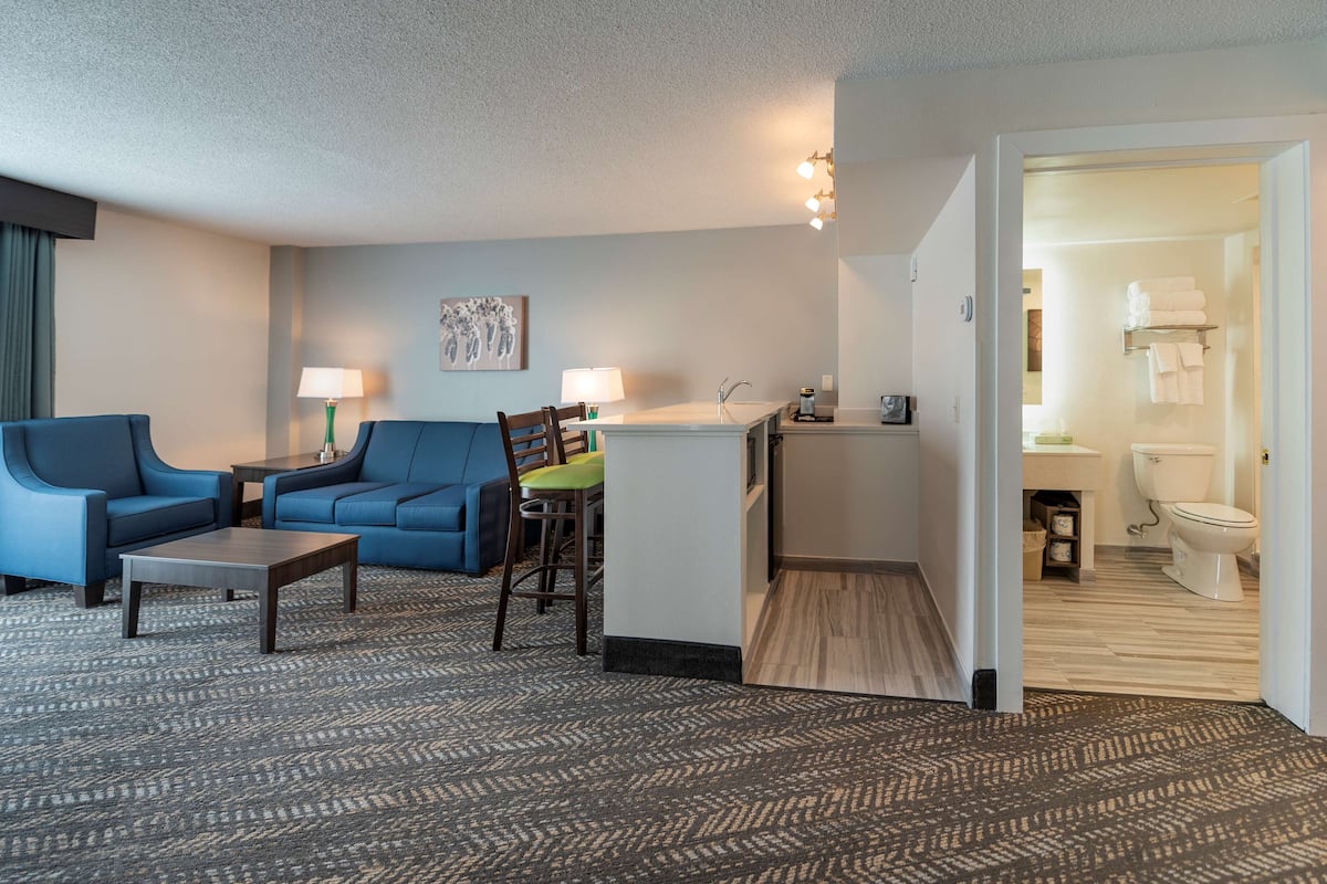 suite, 1 king bed, non smoking, kitchenette (walk-in shower;with sofabed) | private kitchenette | fridge, microwave, coffee/tea maker