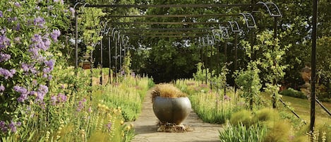 A garden pathway with a central planter, surrounded by lush greenery and flowering plants.