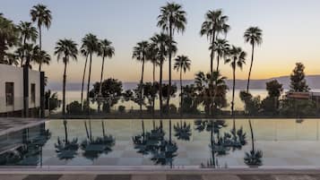 Relax by the serene infinity pool, surrounded by palm trees and a tranquil landscape.