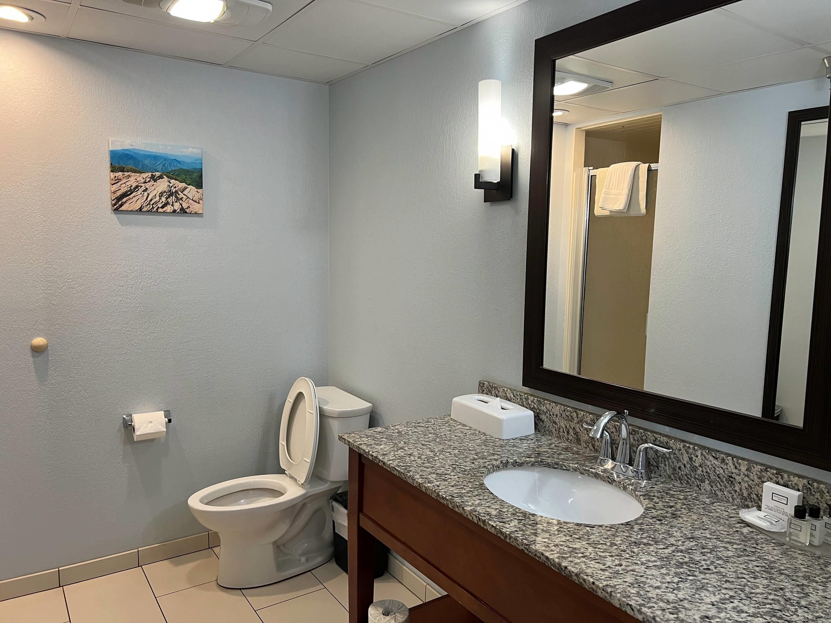 A bathroom with a toilet, sink, and mirror.