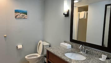 A bathroom with a toilet, sink, and mirror.