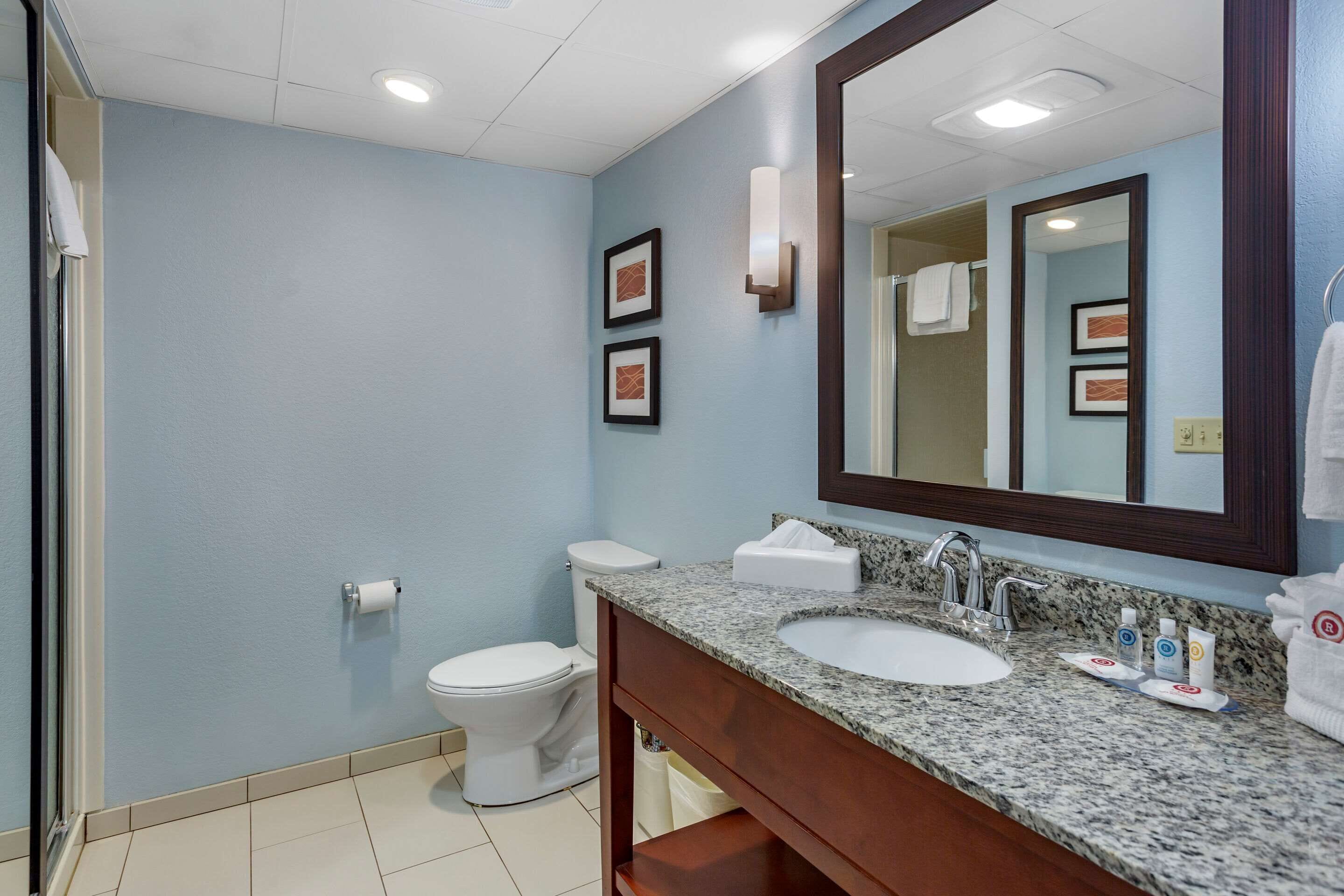 suite, 1 king bed with sofa bed, non smoking | premium bedding, blackout curtains, iron/ironing board, free wifi