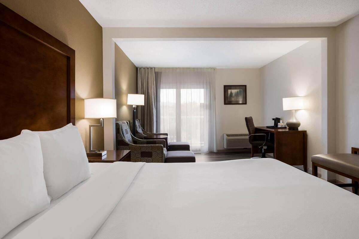 Room, 1 King Bed, Non Smoking | Premium bedding, blackout curtains, iron/ironing board, free WiFi