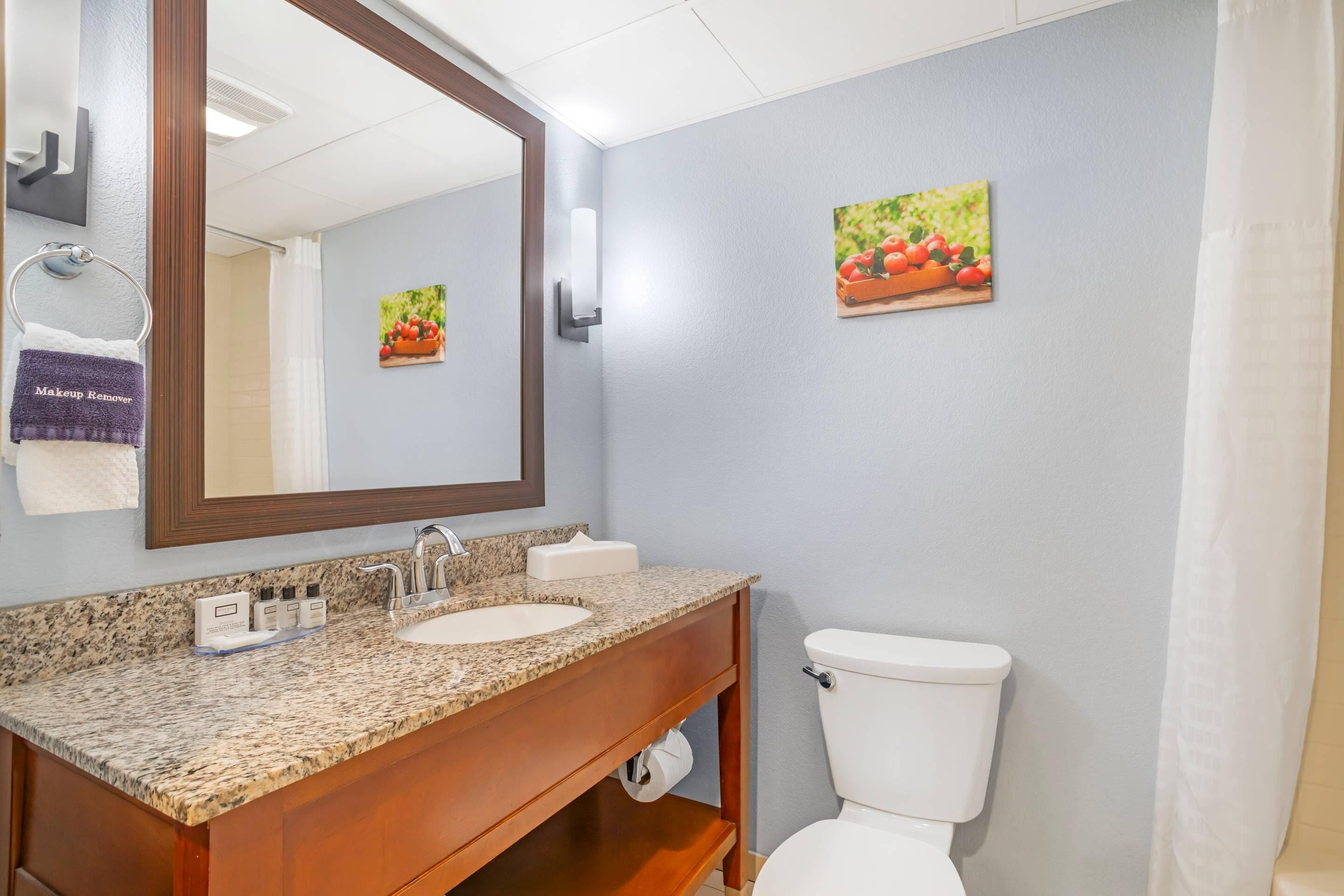 A bathroom with a granite countertop sink, a mirror, a toilet, and a small fruit-themed picture on the wall.