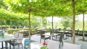Café al aire libre con mesas y sillas, rodeado de árboles y follaje.