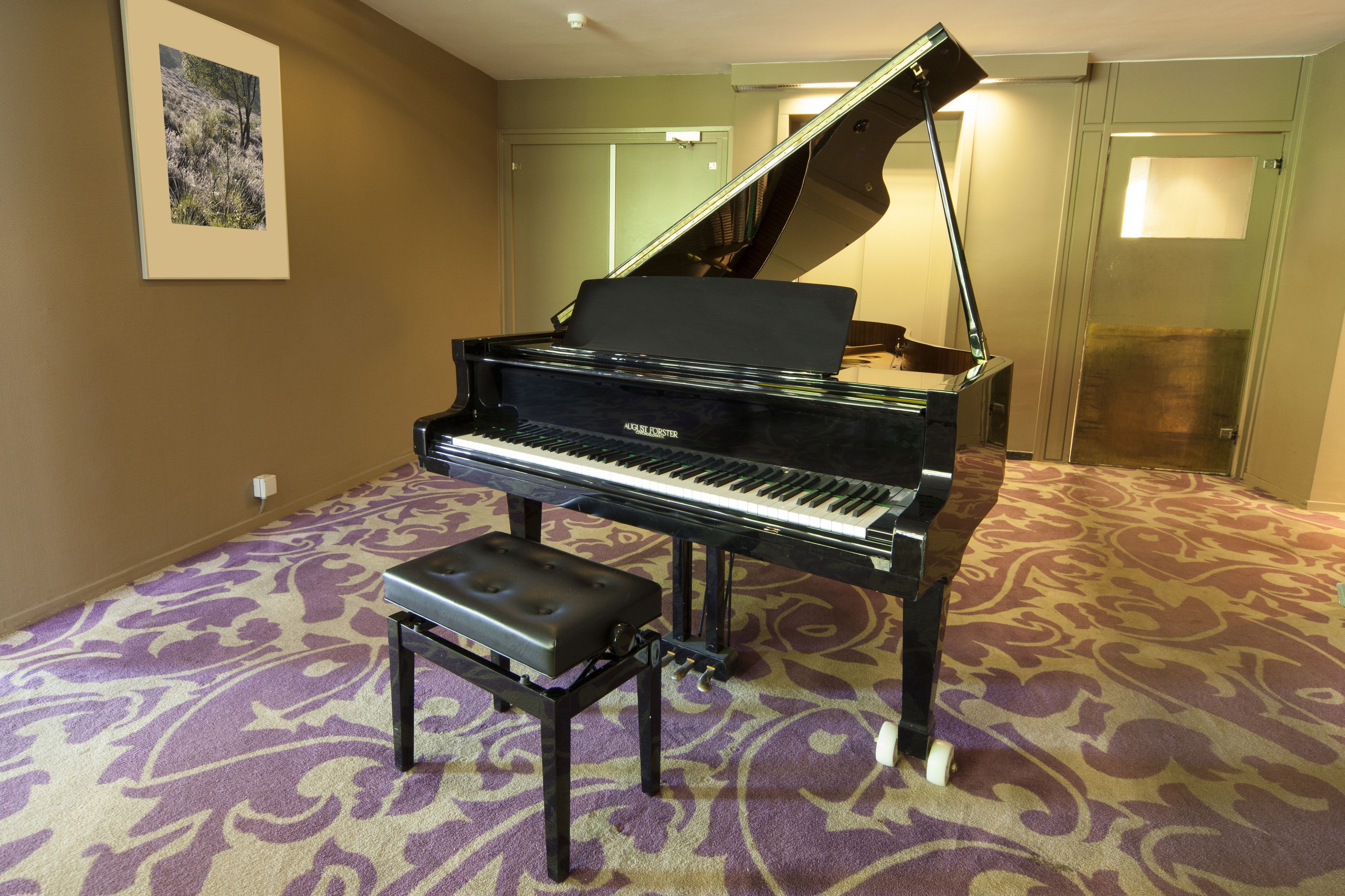 A grand piano in a room with patterned carpet, a bench, and a framed picture on the wall.