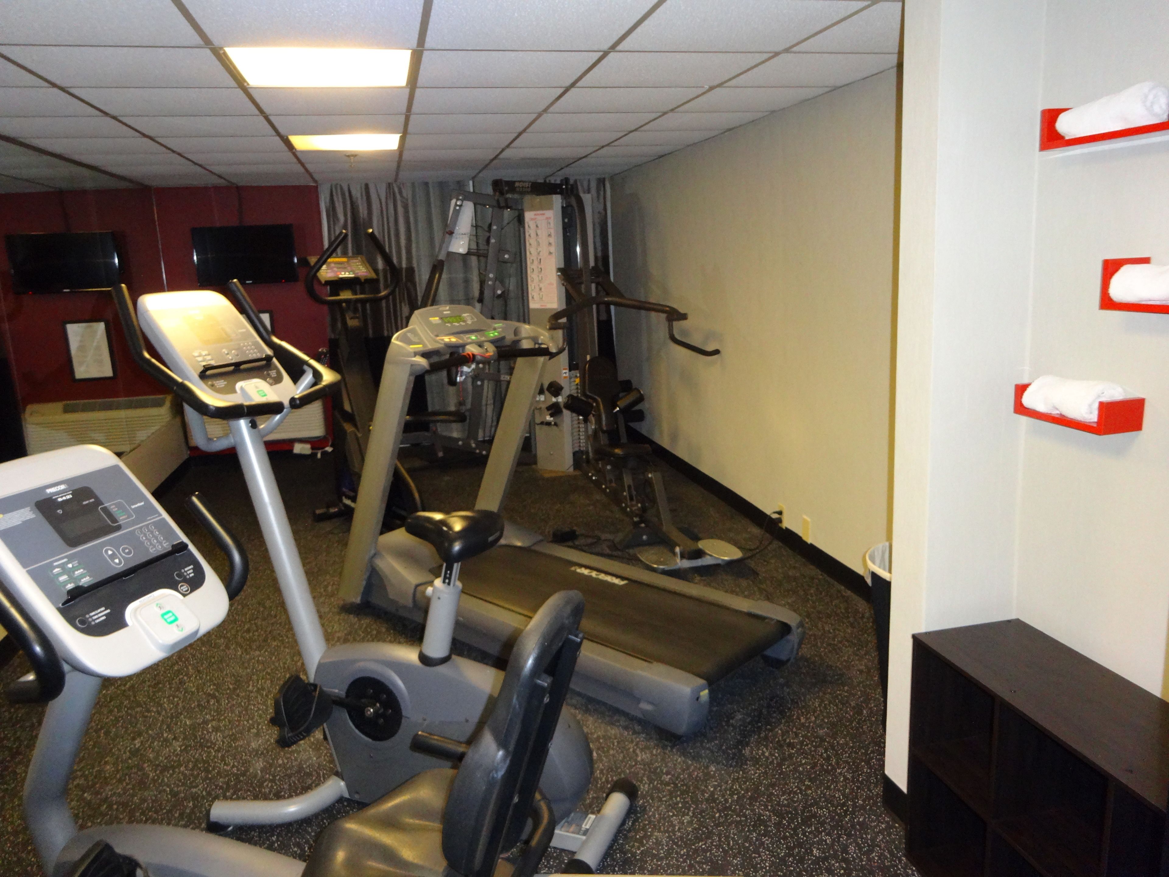 Uma academia com equipamentos de cardio, esteira e bicicleta ergométrica.