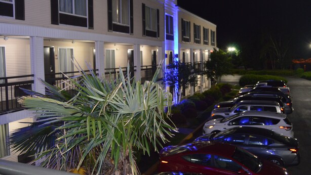 Un hôtel doté de nombreuses chambres, d’un parking et d’un palmier.