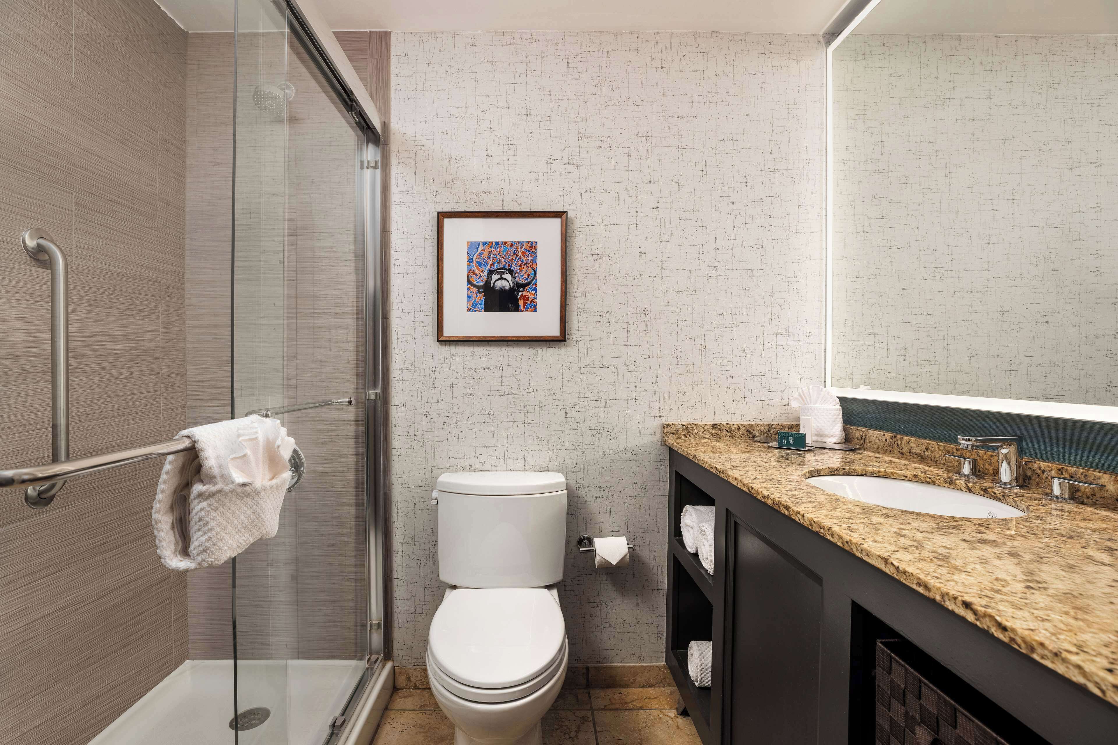 combined shower/bathtub, free toiletries, hair dryer, towels