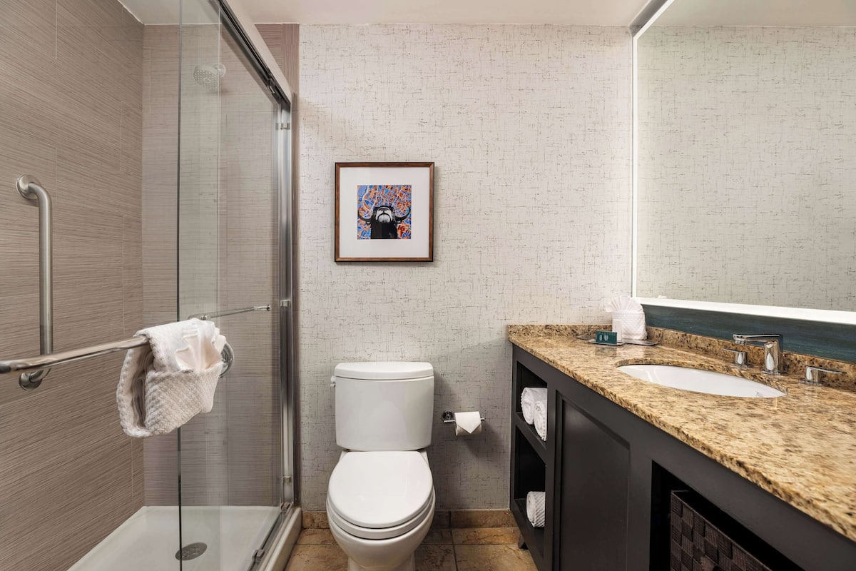 combined shower/bathtub, free toiletries, hair dryer, towels