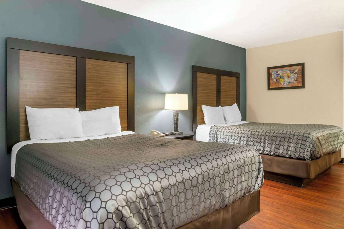 Premium bedding, desk, free WiFi, bed sheets
