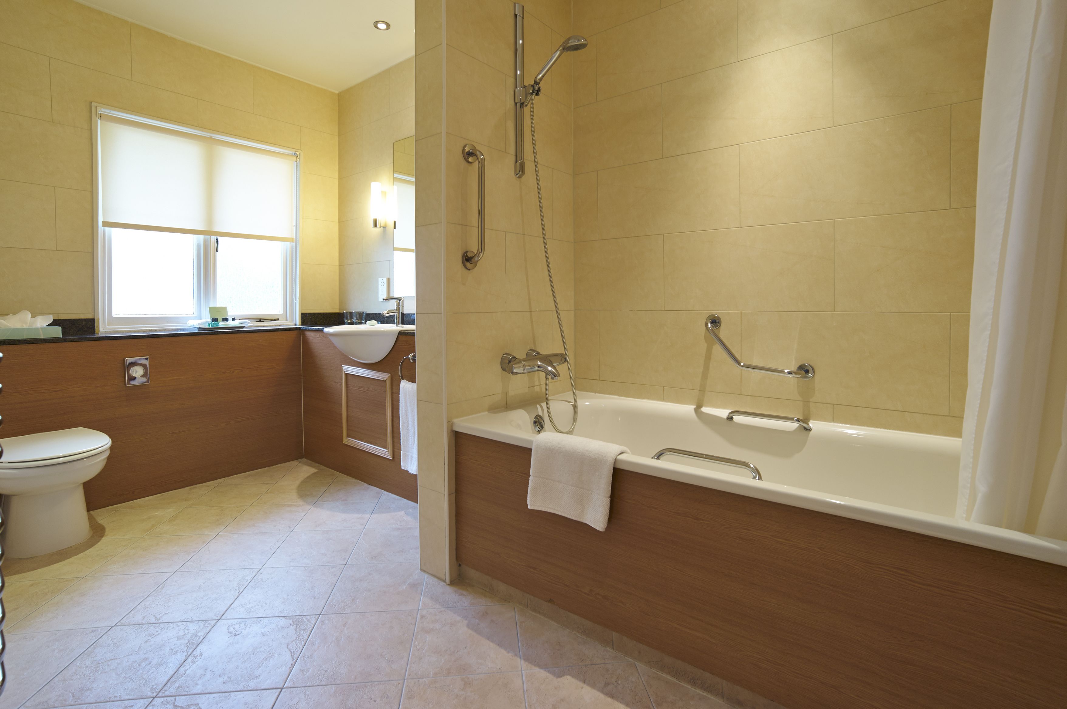 executive double room, 1 double bed | bathroom | combined shower/bathtub, eco-friendly toiletries, hair dryer, towels