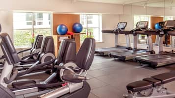 A gym with various cardio machines, including treadmills and elliptical trainers, arranged in a spacious layout with large windows providing natural light.