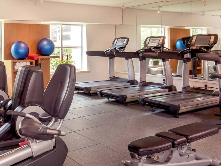 A gym with various cardio machines, including treadmills and elliptical trainers, arranged in a spacious layout with large windows providing natural light.