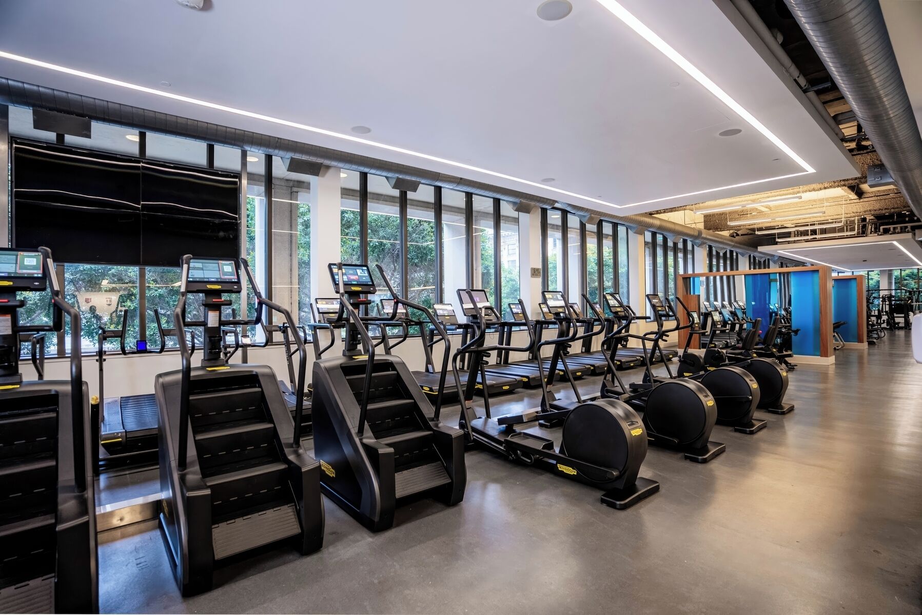A gym with treadmills and exercise bikes, large windows, and a modern design.