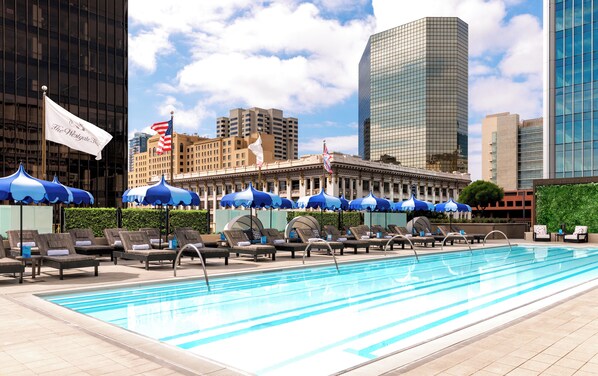 Outdoor pool, sun loungers
