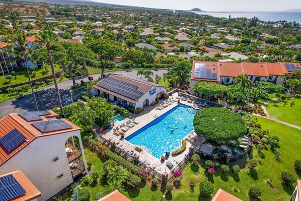 Outdoor pool, open 8:00 AM to 9:30 PM, sun loungers