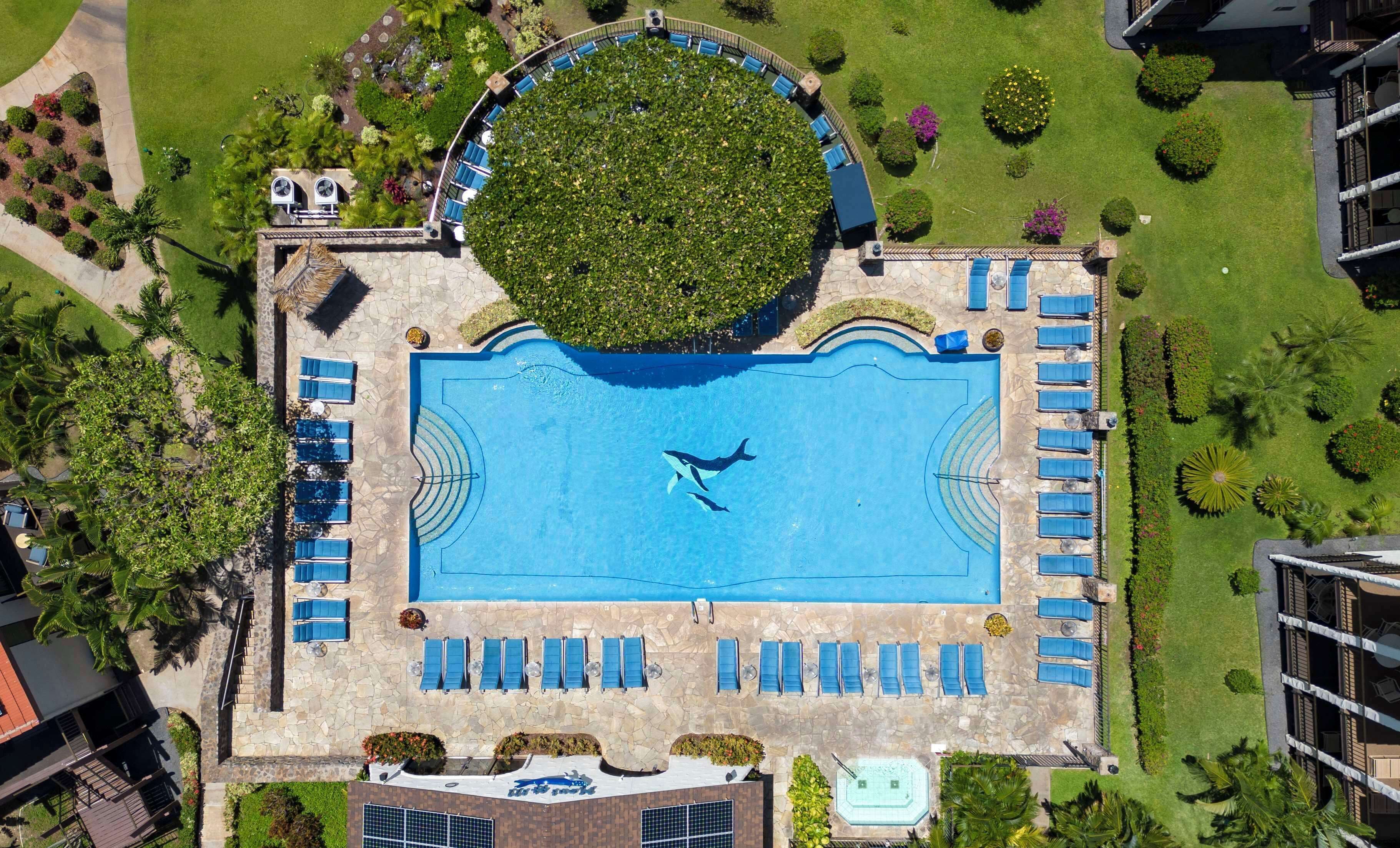 Outdoor pool, open 8:00 AM to 9:30 PM, sun loungers