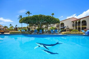 室外游泳池，08:00 至 21:30 开放，日光浴躺椅