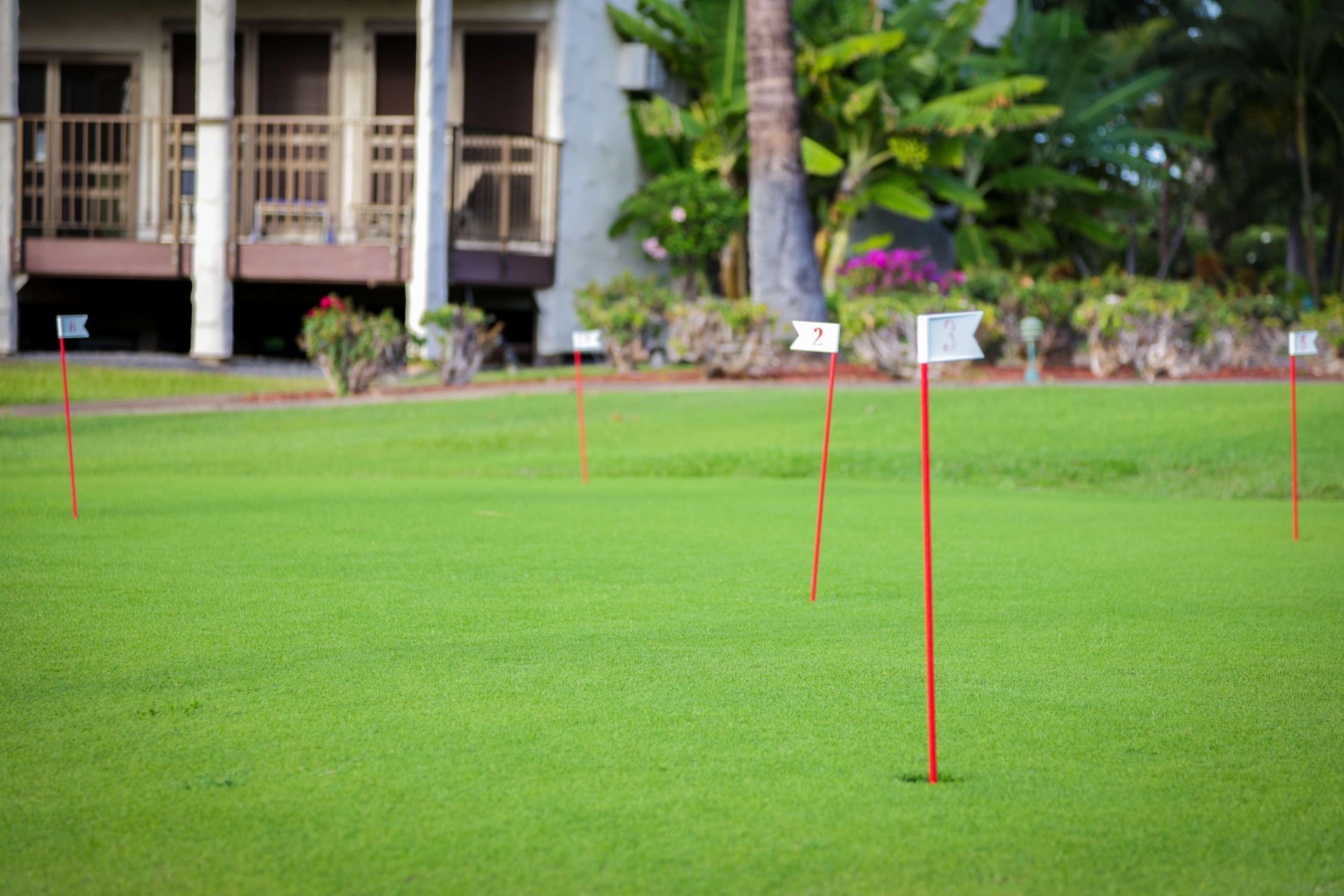 A golf course with numbered flags and a building with columns in the background.