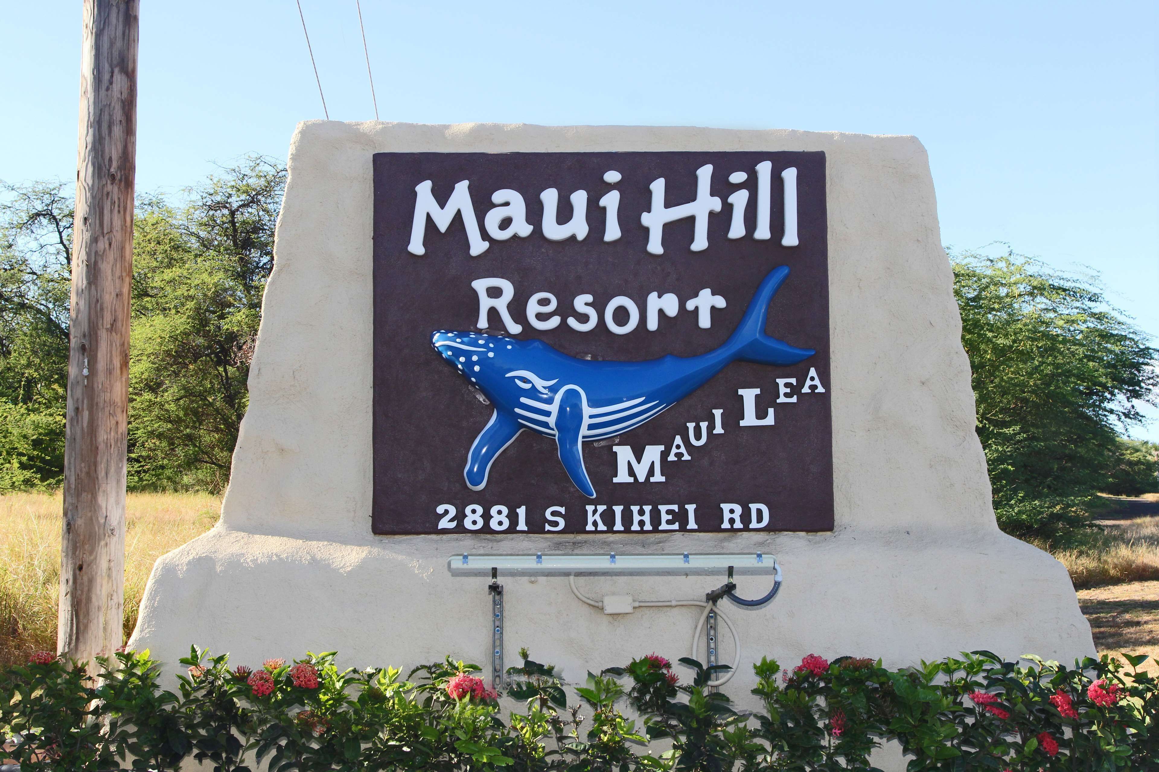 Señalización de Maui Hill Resort con un gráfico de ballena azul y la dirección 2881 S KIHEI RD.