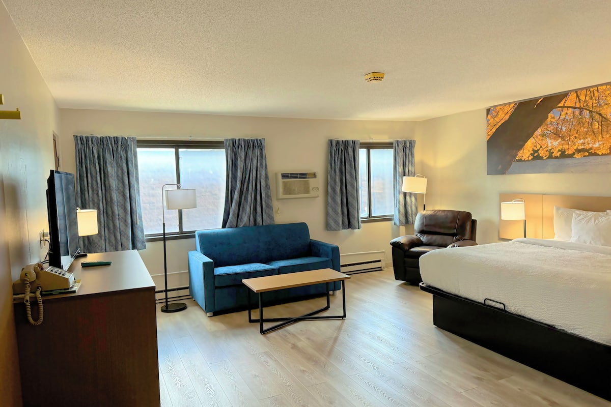 Chambre Affaires, 1 très grand lit, réfrigérateur | Bureau, rideaux d’obscurcissement, lit de bébé (gratuit)