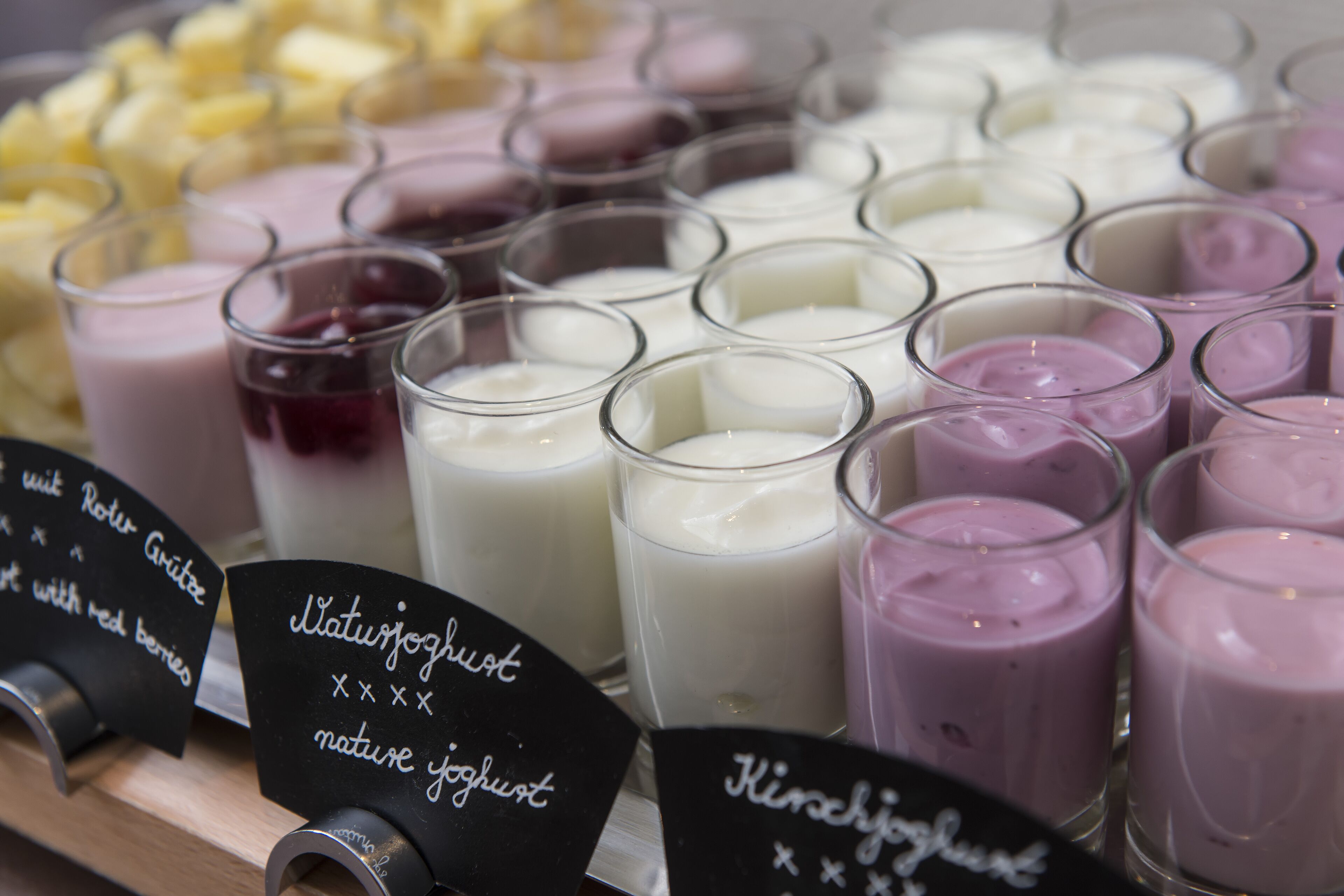 Foto - Wyndham Köln