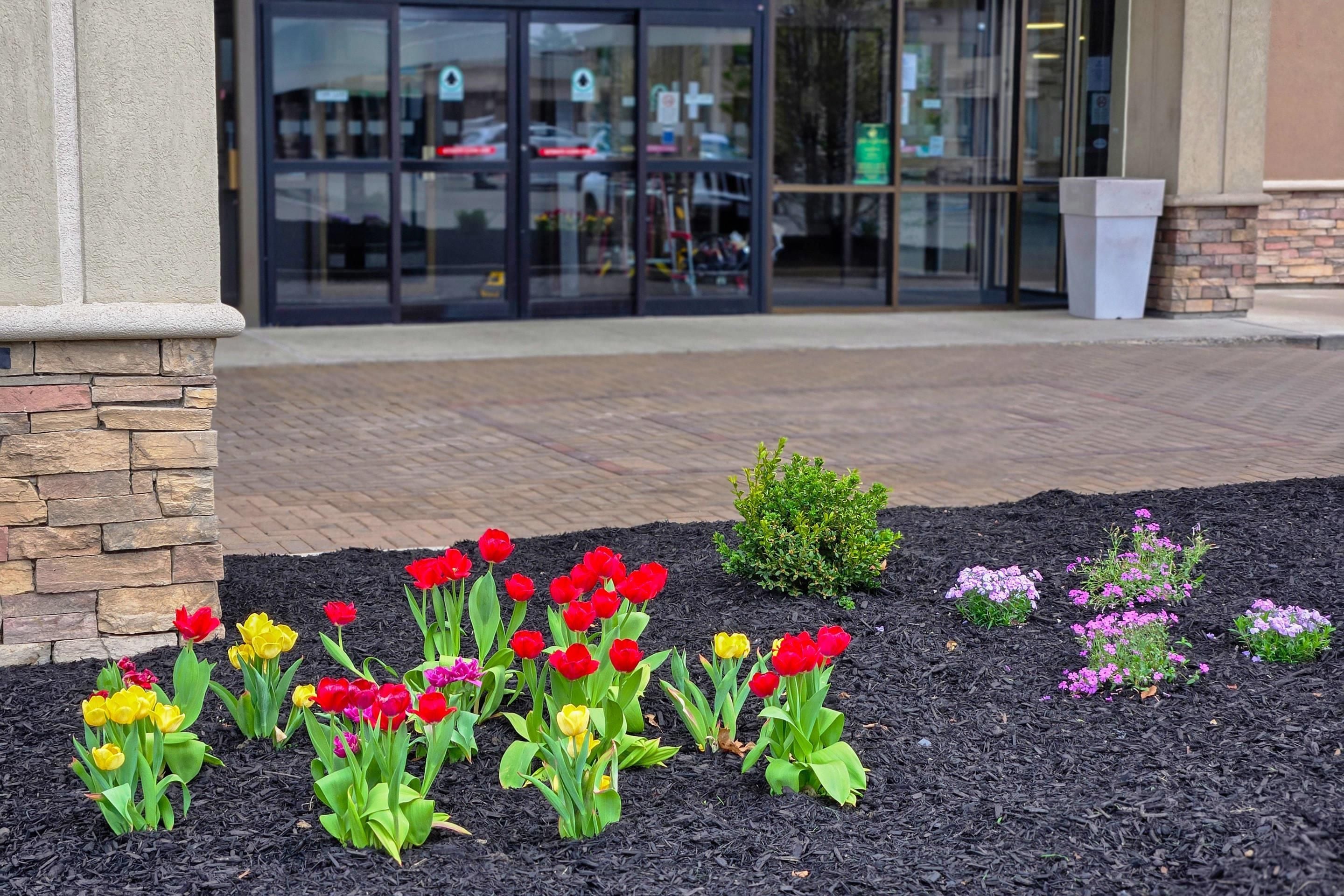 Un espace paysager agrémenté de diverses fleurs et arbustes, situé devant un bâtiment doté d’une entrée en verre.