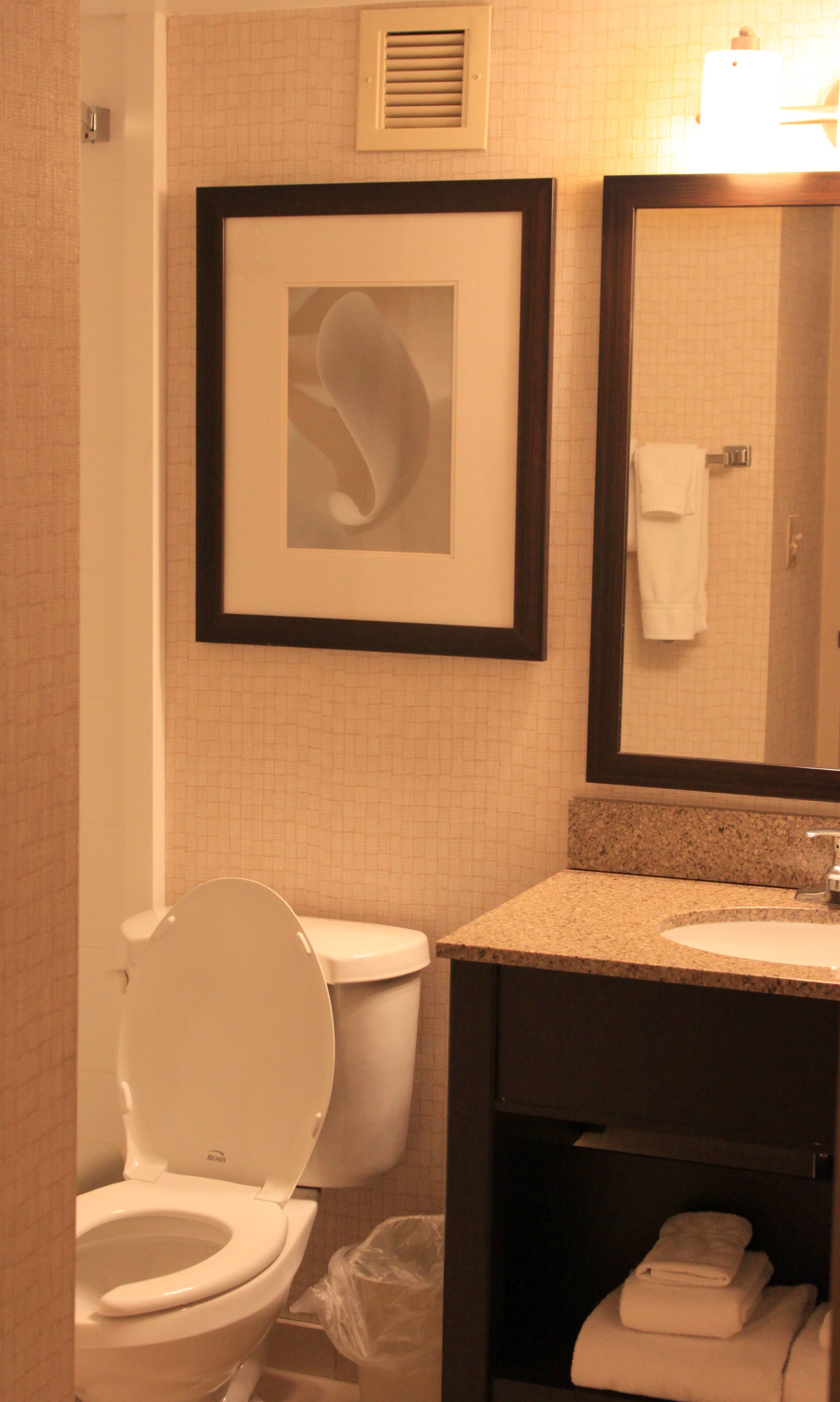 combined shower/bathtub, free toiletries, hair dryer, towels