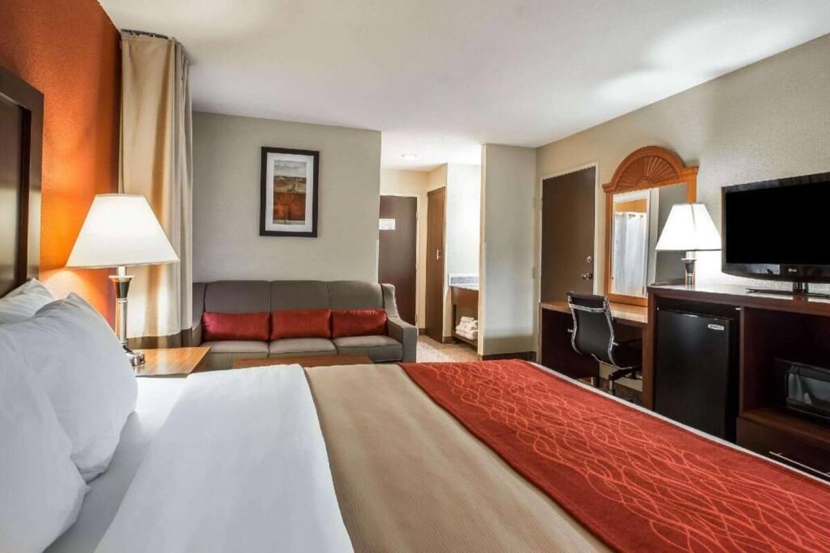 A hotel room with a bed, a sofa, a desk with a TV, and a small refrigerator.