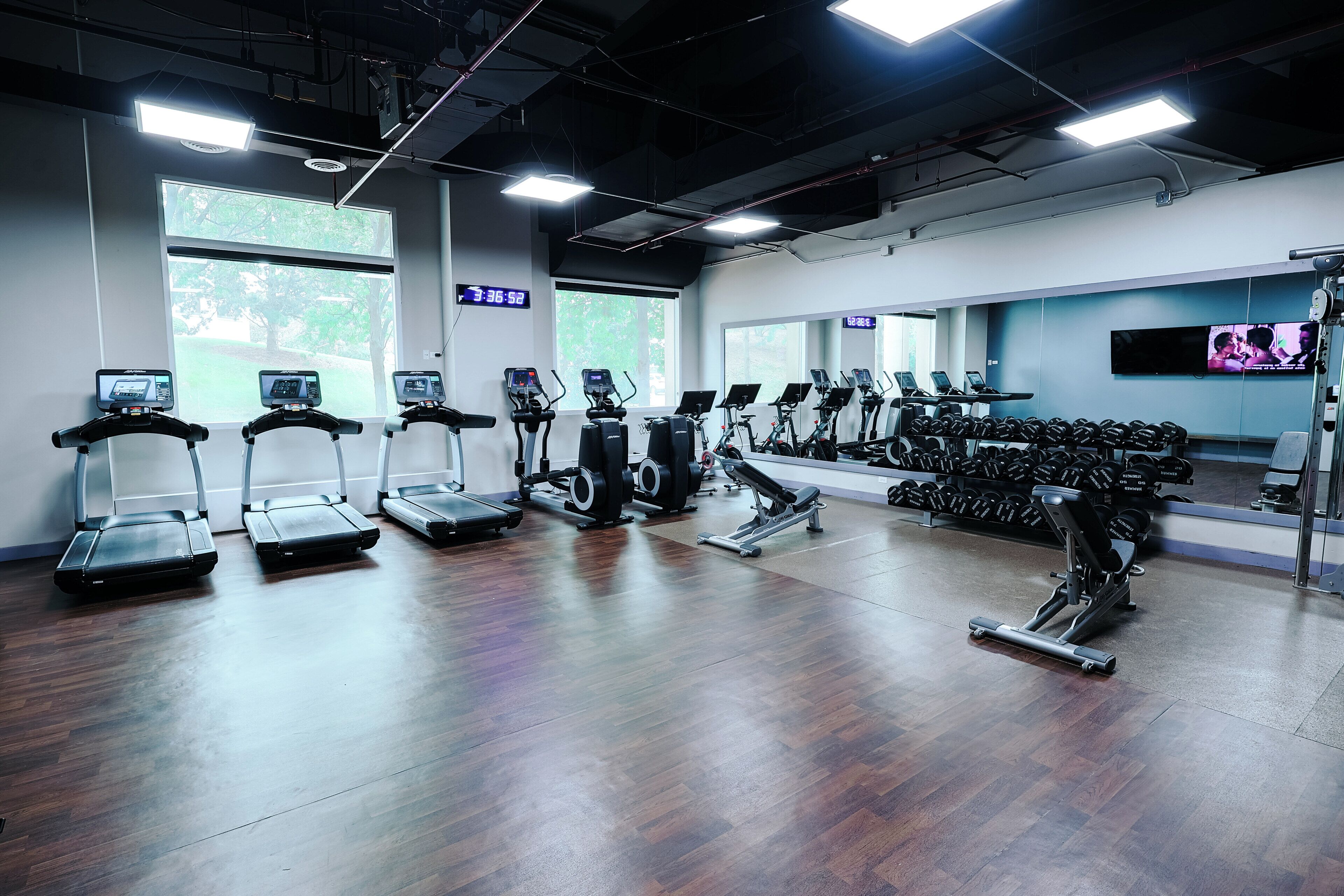 A gym with treadmills, weight machines, and dumbbells.