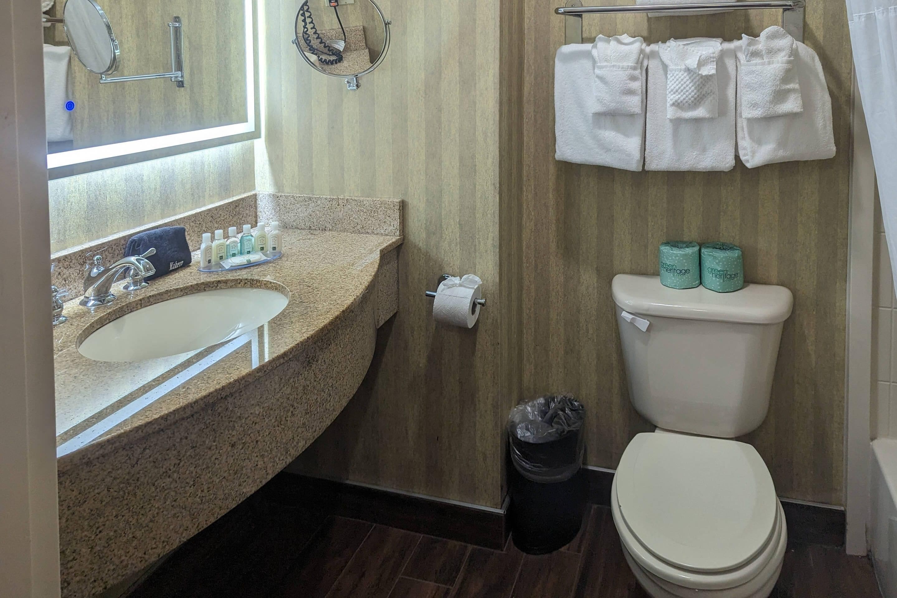 A bathroom with a granite countertop sink, a mirror, a toilet with green toilet paper, and a trash can.