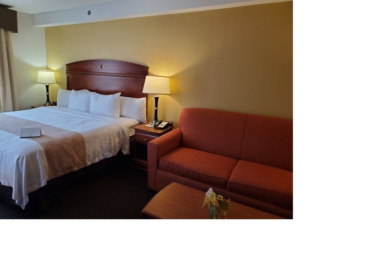 A hotel room with a bed, a red sofa, a nightstand with a lamp, and a small table with a vase.