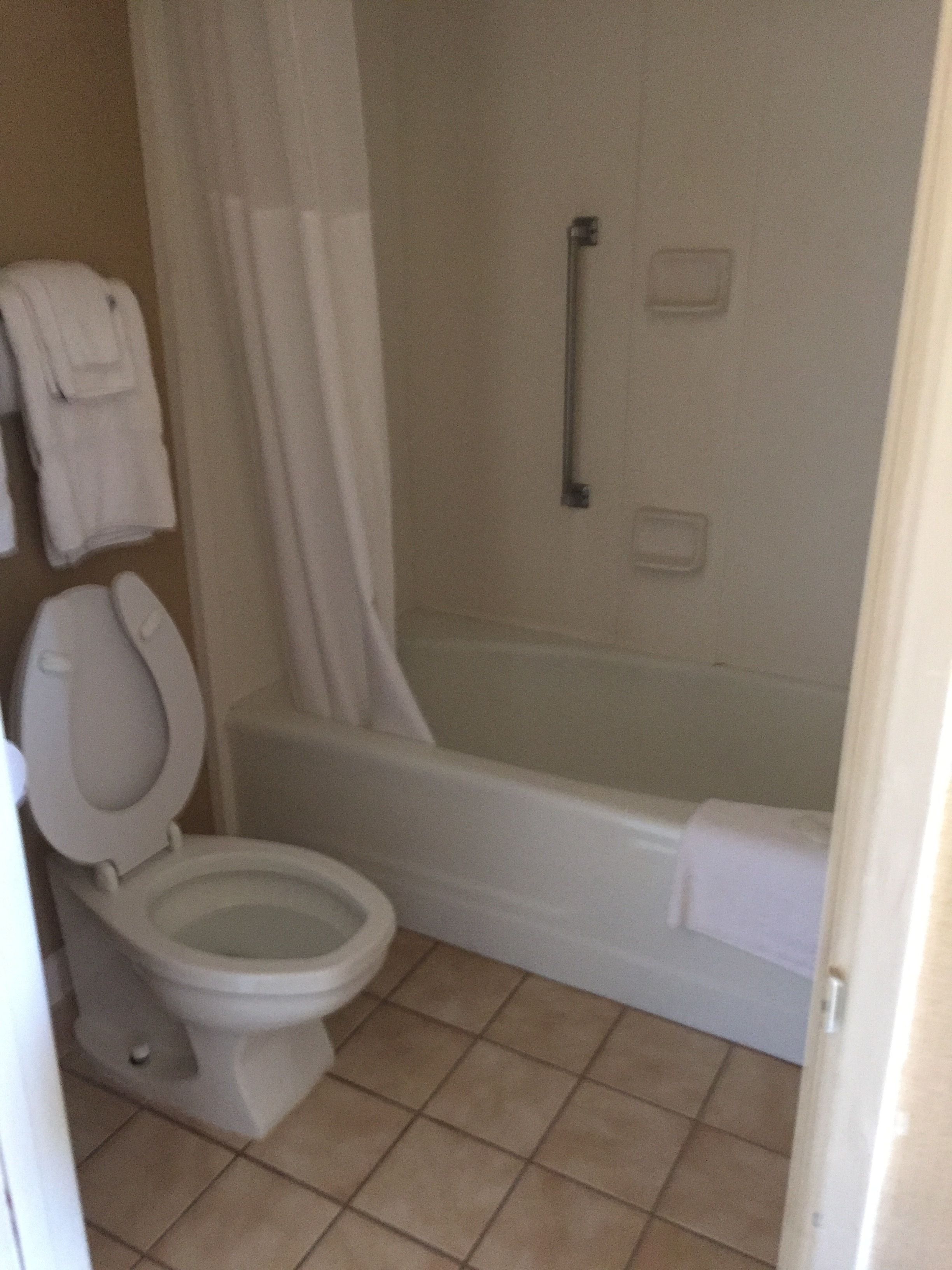 A bathroom with a toilet, a shower with a curtain, and a bathtub.