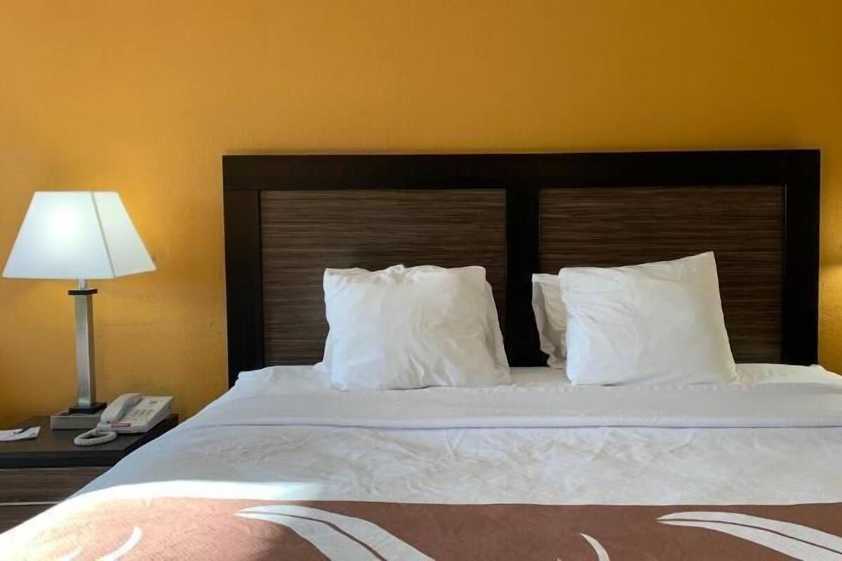 A hotel room with a large bed, two bedside lamps, a telephone, and a brown accent on the bedspread.
