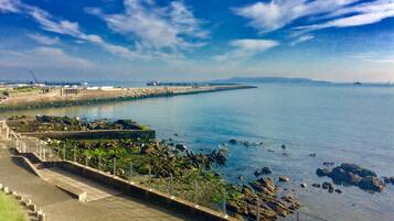 A coastal view with a rocky shoreline, a pier, and a distant ship.