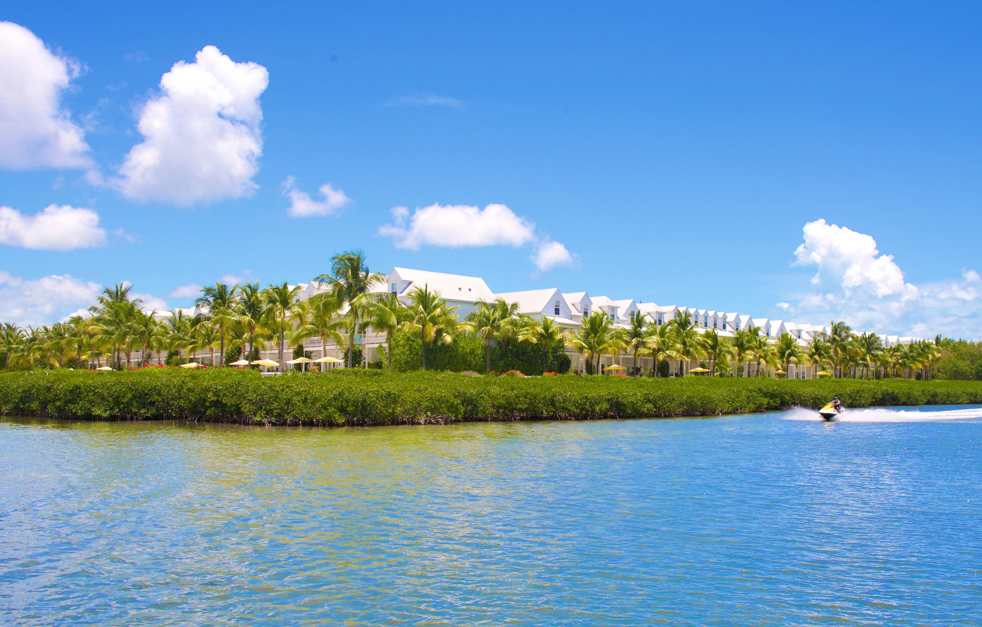 Parrot 2024 key hotel