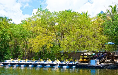Parrot Key Hotel Villas - Image 9