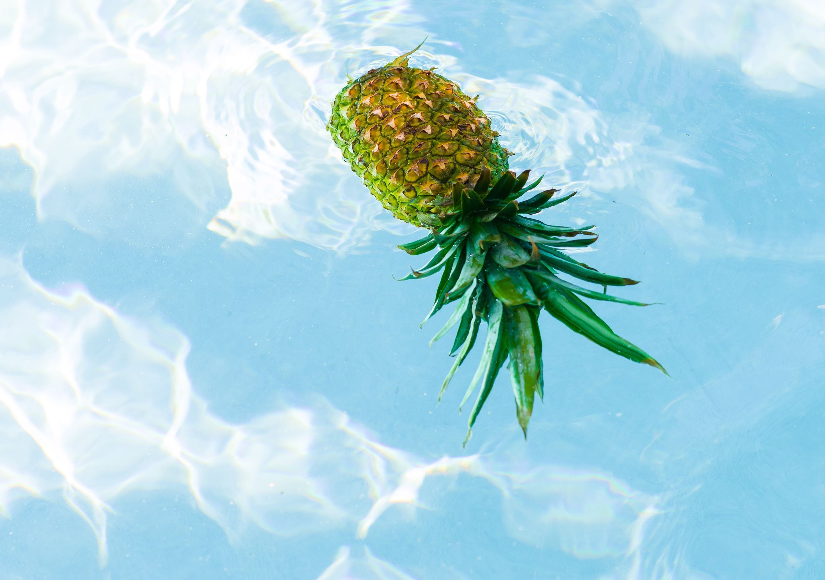 Foto - Parrot Key Hotel & Villas